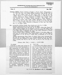 Image Associated With the Occurence